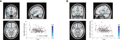 Spontaneous neural activity in the three principal networks underlying delay discounting: a resting-state fMRI study